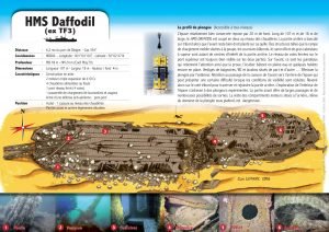 re_fiche_epave_daffodill_verso_jl