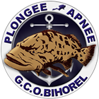 vignette-logo-gcob-section-plongee-et-apnee-bihorel-les-rouen-en-normandie-v3