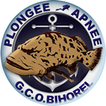 GCOB Plongée et Apnée